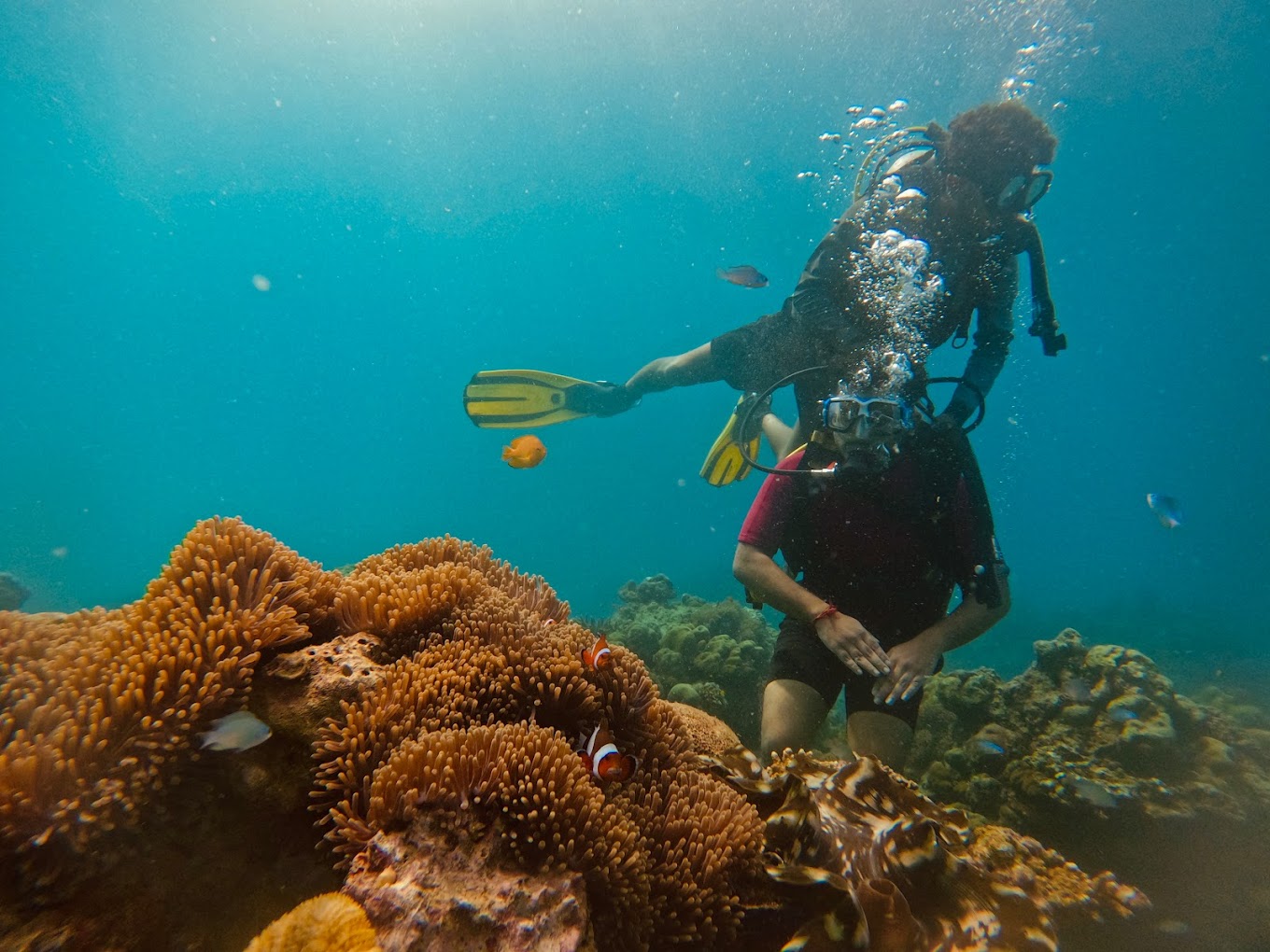 andaman vacation Img